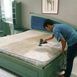 jasa cuci springbed