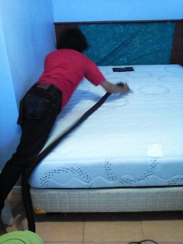 cuci springbed